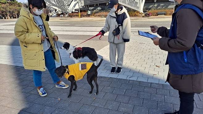 동물보호 현장 점검. [자료 = 서울시]