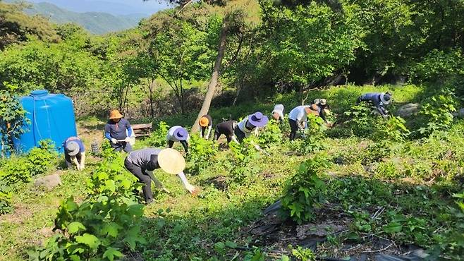 [산청=뉴시스] 산청군청 *재판매 및 DB 금지 *재판매 및 DB 금지