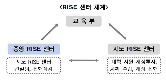 한국연구재단은 학술진흥본부 내 '지역혁신중심 대학지원체계'(RISE) 센터가 설치된다고 밝혔다. / 사진=한국연구재단