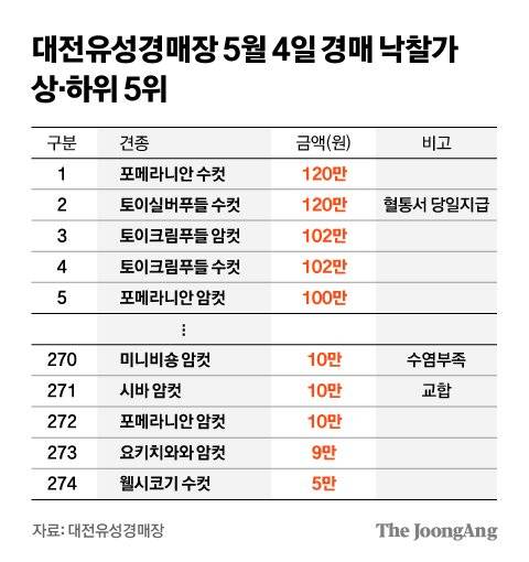 그래픽=김영희 02@joongang.co.kr