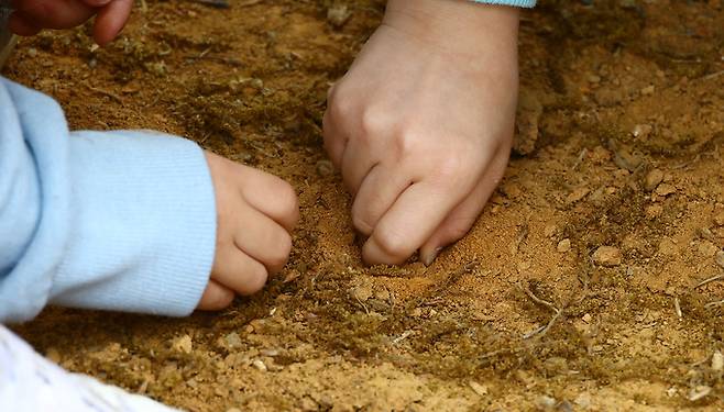 맨손으로 흙장난하는 어린이들.
