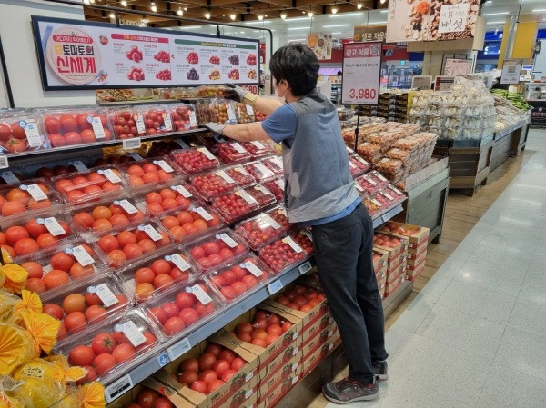 이마트 매장에 다양한 토마토가 진열돼있다. [사진제공=이마트]