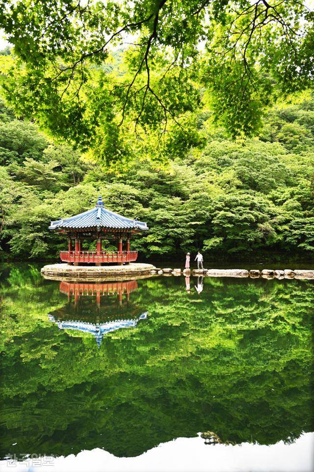 초록 단풍과 주변 산자락이 내장사 우화정 연못에 비쳐 멋진 풍광을 연출하고 있다.