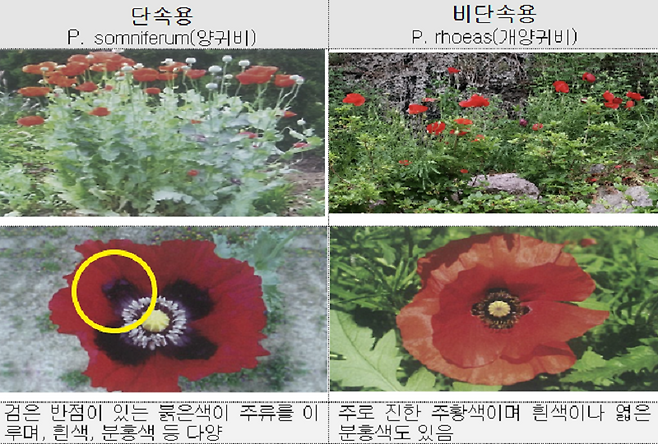 사진 = 경찰청 제공.