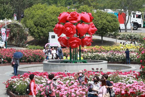 지난해 열린 울산대공원 장미축제 모습. 국제신문 자료사진