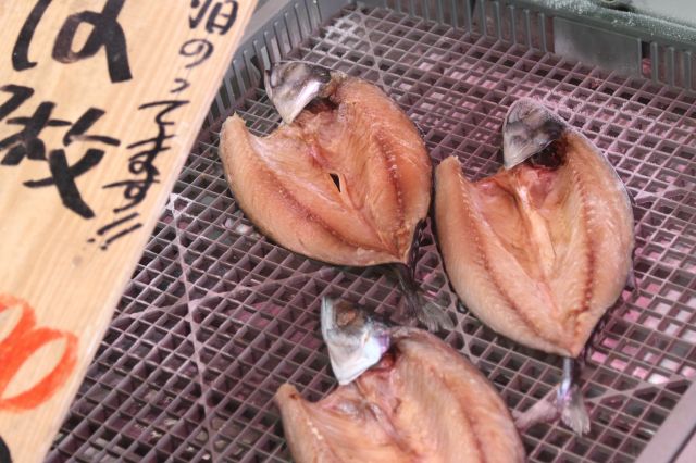 일본 후쿠시마현 이와키시 오나하마항 수산물 시장에서 24일 판매 중인 생선. 이 항구는 일본 정부가 올여름 오염수 방류를 시작할 후쿠시마 제1원자력발전소에서 55㎞ 정도 떨어져 있다. 연합뉴스