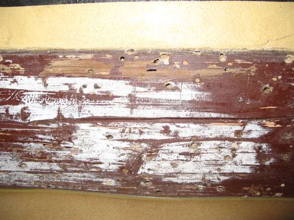 지난 2014년 전북 완주군 위봉사에서 흰개미 섭식 흔적이 발견돼 해당 지자체에서 방부·방충제 도포를 진행했다. 완주군 제공