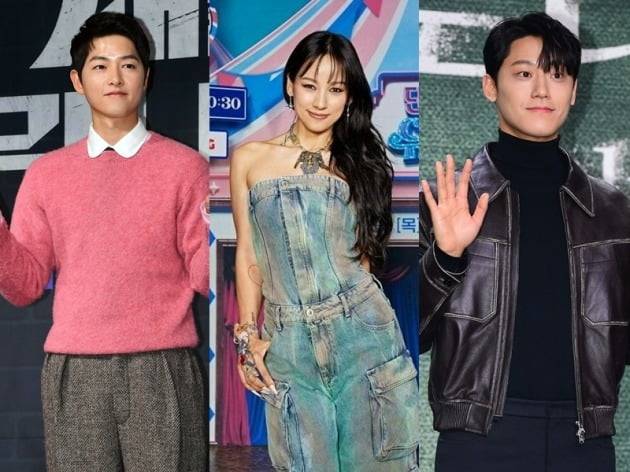 송중기, 이효리, 이도현./사진=텐아시아DB