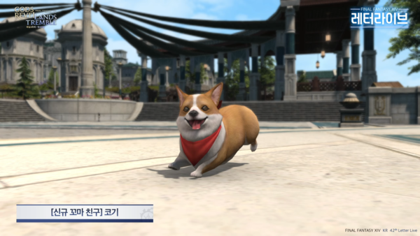 - 환 소피아 토벌하고 신규 꼬마친구 얻어가세요