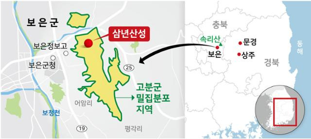 그래픽=강준구 기자