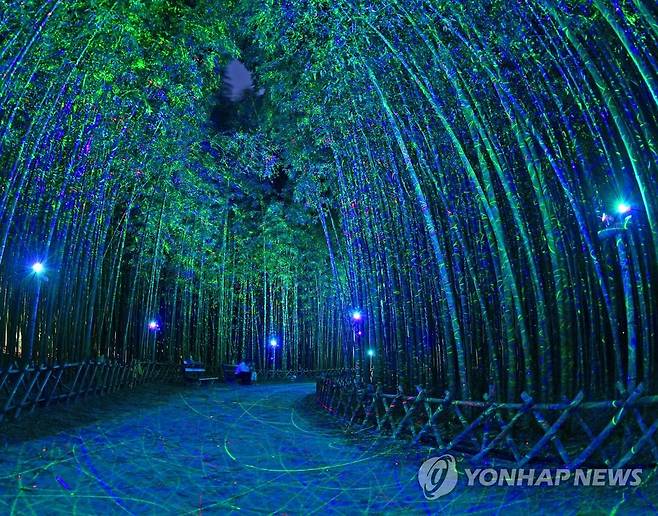 울산관광사진 '십리대숲 은하수길' 2020년 울산관광사진 전국 공모전에서 우수상을 받은 허칠구씨의 '십리대숲 은하수길'[울산시 제공.재판매 및 DB 금지]