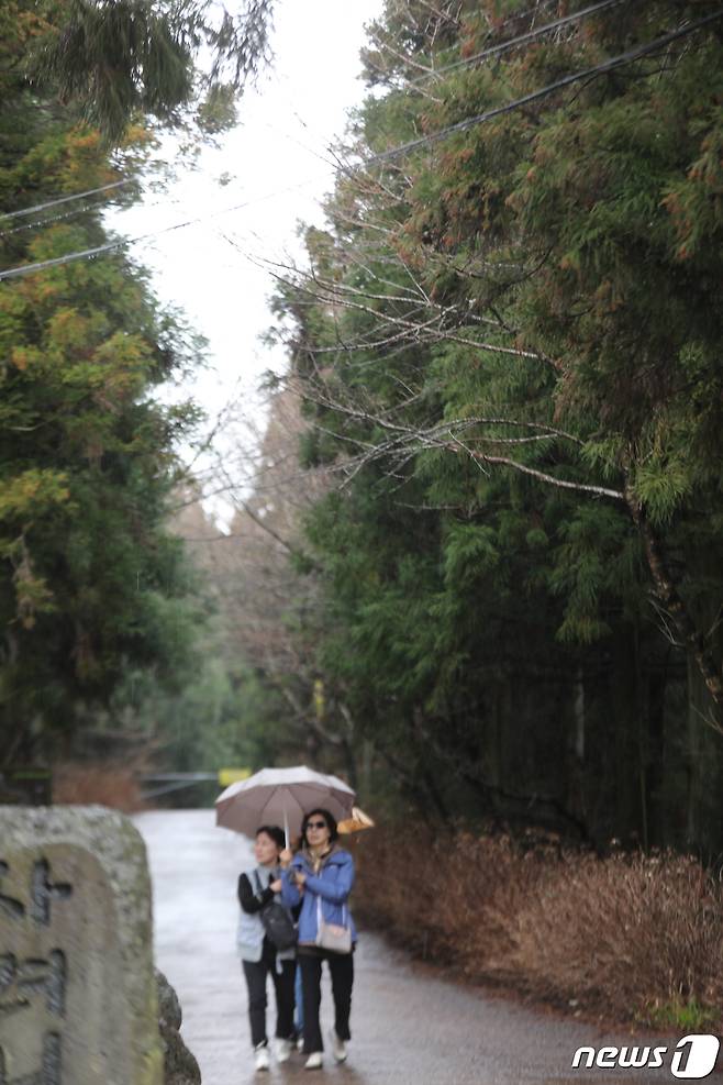 12일 오후 제주 사려니숲길에서 나들이객들이 우산을 쓴 채 산책을 하고 있다. 2022.3.12/뉴스1 ⓒ News1 강승남 기자