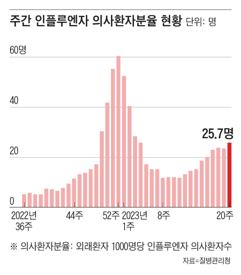 지난해 말 정점에 이르렀던 독감 환자 수가 지난 2월 즈음 저점을 찍었다가 다시 점점 늘기 시작해 이달 들어 이례적으로 증가한 모습을 볼 수 있다.