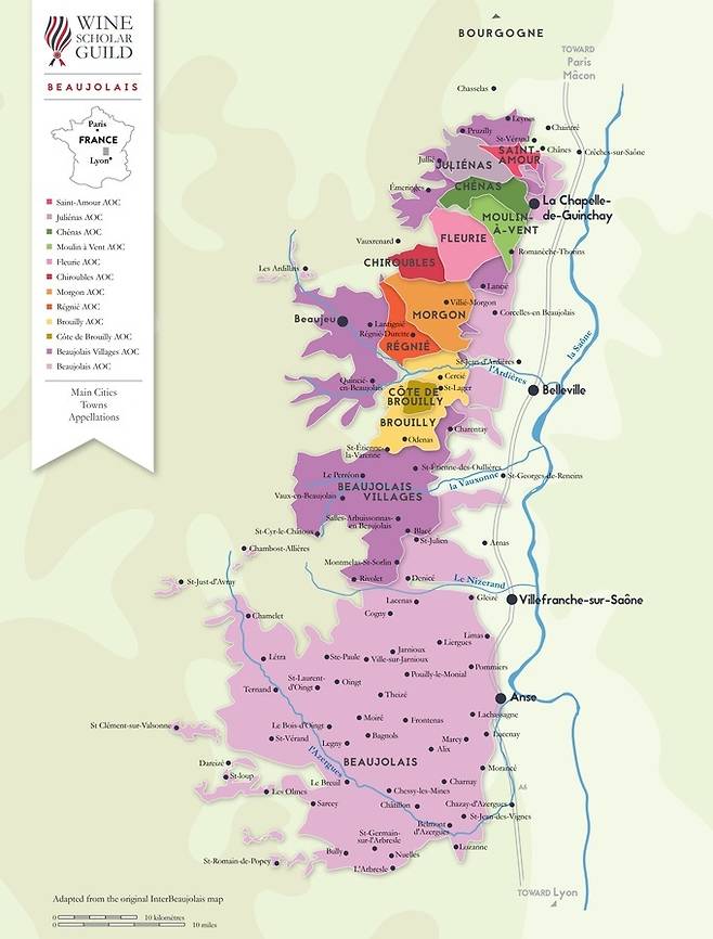 보졸레 주요 와인산지.           BIVB 제공