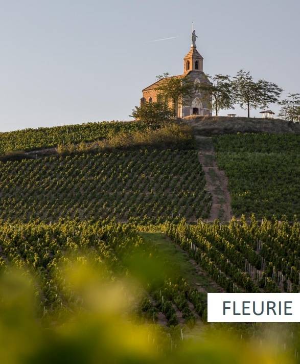 플뢰리 전경.&nbsp; &nbsp; &nbsp; &nbsp; &nbsp; &nbsp; &nbsp; &nbsp; &nbsp; &nbsp; &nbsp;소펙사 코리아 제공