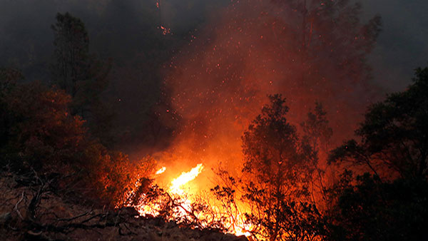 작년 9월 캘리포니아 북부에서 발생한 산불 [사진 제공: 연합뉴스]