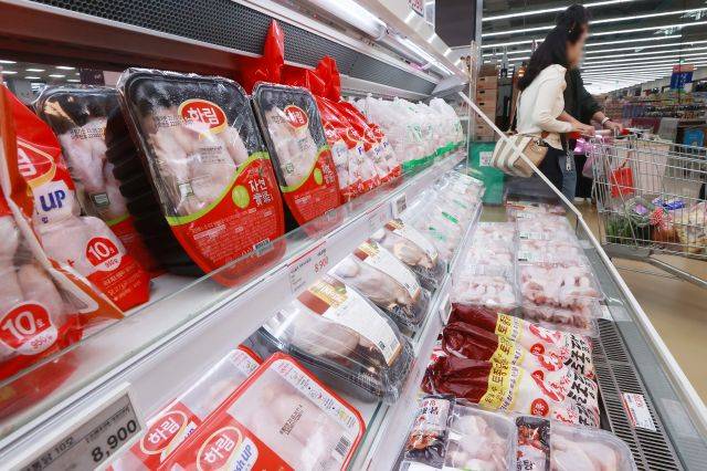 지난 14일 서울의 한 대형마트 닭고기 판매대 모습. 연합뉴스