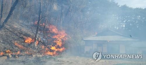 강풍·건조경보 속 강릉서 산불  (강릉=연합뉴스) 유형재 기자 = 11일 오전 8시 30분께 강원 강릉시 난곡동의 한 야산에서 불이 나 연기가 치솟고 있다. 현재 강릉에는 강풍경보와 건조경보가 동시에 내려져 있다. 2023.4.11
    yoo21@yna.co.kr