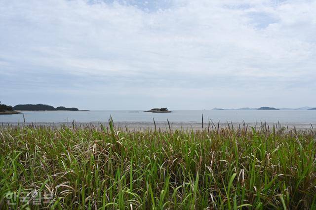 안토니 곰리의 작품이 설치될 예정인 비금도 원평해변.