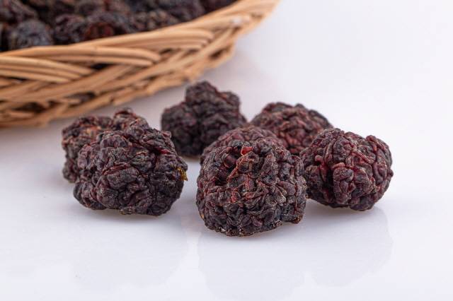 뽕나무 열매인 오디가 소화‧위장관 운동 기능을 개선하는 데 효과가 있다는 연구결과가 나왔다./사진=클립아트코리아