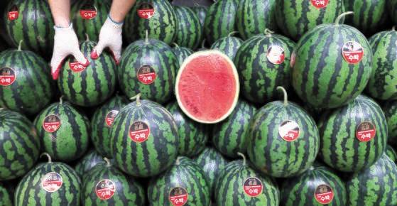 서울 한 재래시장에서 수박을 팔고 있다. 연합뉴스 자료사진