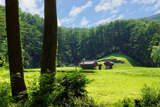 &nbsp;삼척 준경묘