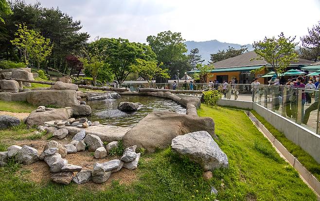 청주동물원 수달사의 모습. 수달을 매번 볼 수 있는 것은 아니다. ⓒ시사IN 조남진