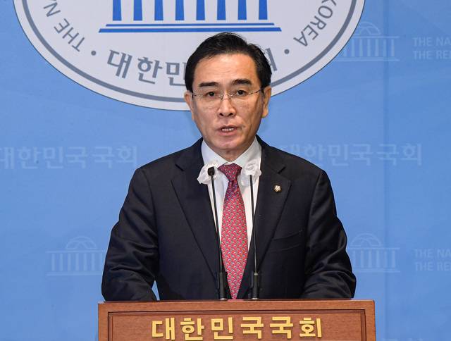 태영호 국민의힘 의원. 이한결 기자