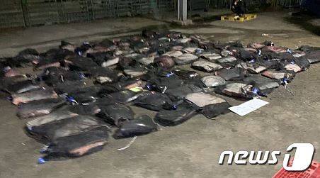 (포항=뉴스1) 최창호 기자 = 경북 포항해양경찰서(서장 성대훈)는 2일 오후 10시쯤 동해상에서 불법 포획한 고래를 해체한 후 항구로 들어오던 A호(4.95톤)선장 등 3명을 현행범으로 체포했다.(포항해양경찰서 제공)2023.6.3/뉴스1