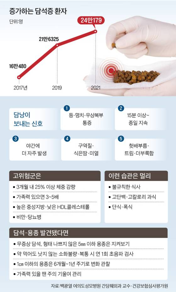 그래픽=남미가 기자 nam.miga@joongang.co.kr