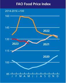 유엔식량농업기구(FAO)가 조사한 2020∼2023년 연도별, 월별 식량가격지수.