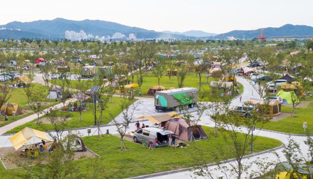지난 3월 2000여동의 텐트가 설치돼 1만7000여명 참여한 최대 캠핑페스티벌 ‘고아웃캠프’가 열린 구미 낙동강변 캠핑장.  구미시 제공