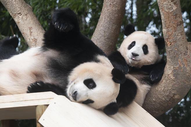 모녀의 행복한 한때