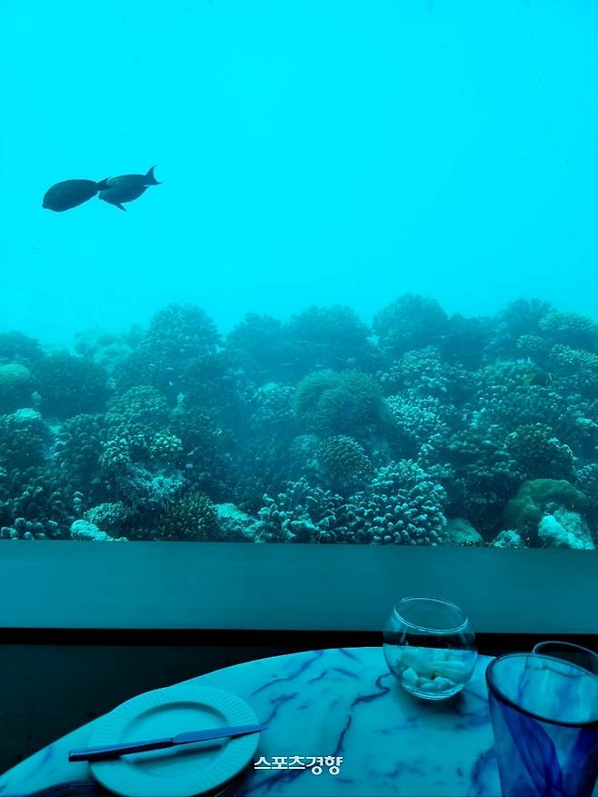 언더워터 레스트랑 ‘온리블루’(Only Blue). 사진|강석봉 기자