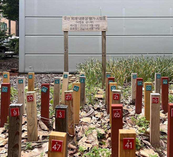 전북대학교 주거환경학과 목재 시험장 (전주=연합뉴스) 김진방 기자