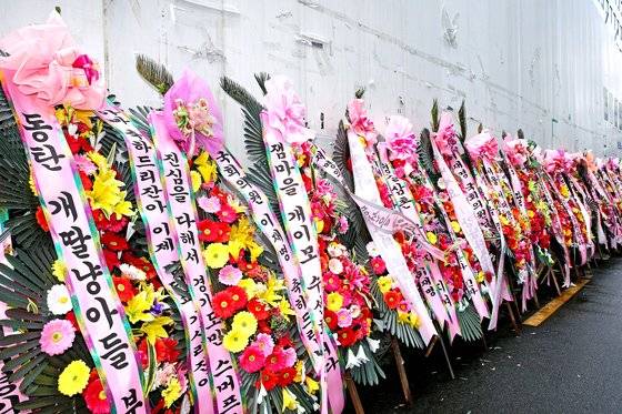 지난해 서올 여의도 더불어민주당 중앙당사 앞에 이재명 대표 열혈팬덤인 '개딸'들이 보낸 화환들이 놓여 있다. [사진 뉴스1]