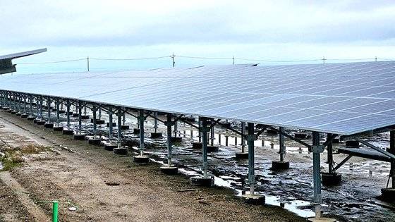 지난달 28일 방문한 전남 영광의 한 태양광 발전소. 영광=나상현 기자