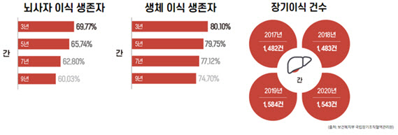 이식별 생존자 생존율 및 장기이식 건수 인포그래픽(출처 : 강동경희대학교병원 웹진 포유).