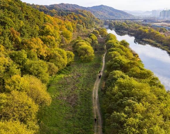국가습지보호구역으로 지정된 갑천습지 일대. 대전시 제공