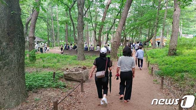 충북 보은 속리산을 찾은 탐방객들이 법주사 인근 세조길을 걷고 있다. /뉴스1  장인수 기자