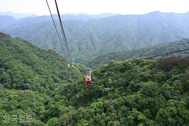 최북단 원시림 위로 연결된 백암산케이블카.