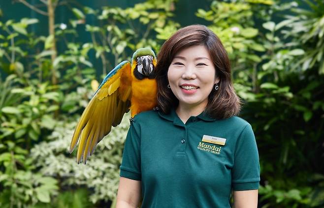 진 초이 최고 영업 및 마케팅 책임자 / 사진=만다이 그룹