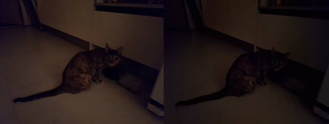 갤럭시퀀텀4의 나이토그래피 기능을 켜고 찍은 사진(왼쪽)과 끄고 찍은 사진. 조명이 거의 없어 보이지 않던 피사체(고양이)의 이목구비를 나이토그래피 기능을 이용해 구별해낼 수 있었다.