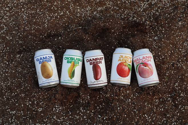 감자아일랜드 주요 제품들. 왼쪽부터 감자맥주, 옥수수맥주, 팥맥주, 사과맥주, 복숭아맥주. 모두 강원도 농산물을 부재료로 사용한 맥주들이다. /감자아일랜드