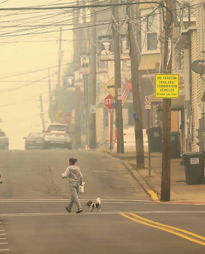7일 펜실베이니아 프리랜드에서 한 시민과 개가 거리를 걷고 있다. AP 연합뉴스
