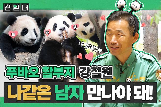 조선일보 유튜브 채널 '뭐볼광'