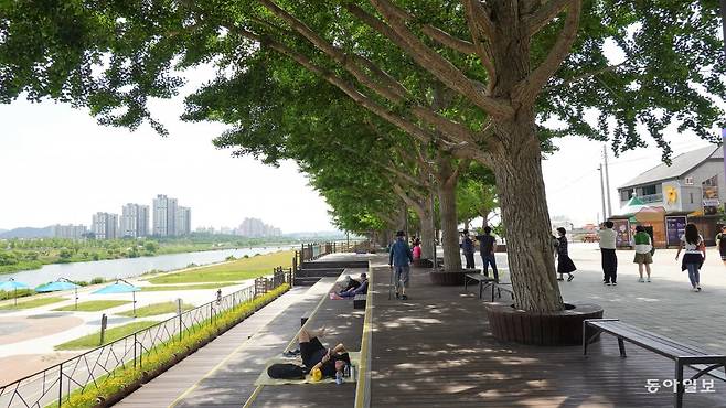 곡고천변의 은행나무길. 더위를 가려주는 나무 아레에서 사람들이 휴식을 취하고 있다. 안영배 기자