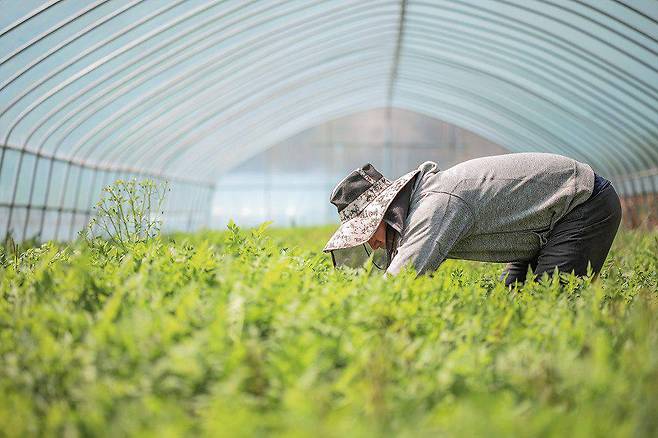 날아오름은 자사 농장에서 농작물을 재배, 활용한다. 출처 = 날아오름