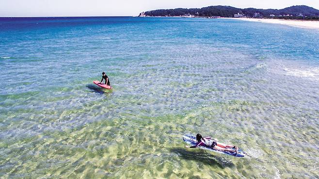 Surfers in Yangyang, Gangwon Province (Herald DB)