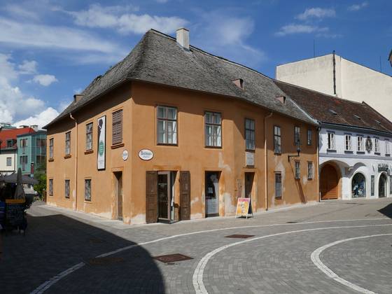 베토벤이 빈에서 살았던 집 ⓒ 1971markus. [사진 사회 평론]